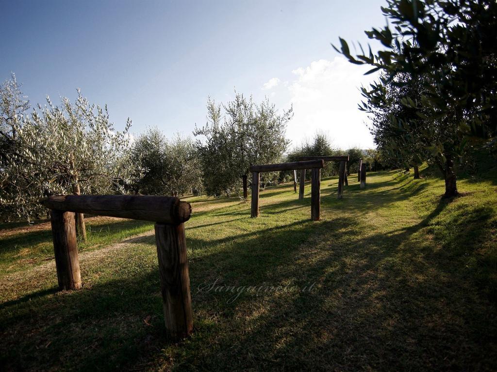 Agriturismo Sanguineto Acquaviva  Екстер'єр фото