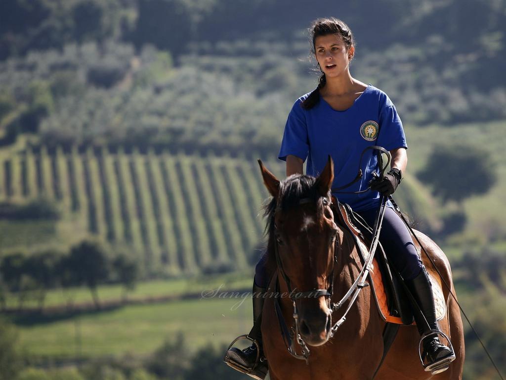 Agriturismo Sanguineto Acquaviva  Екстер'єр фото