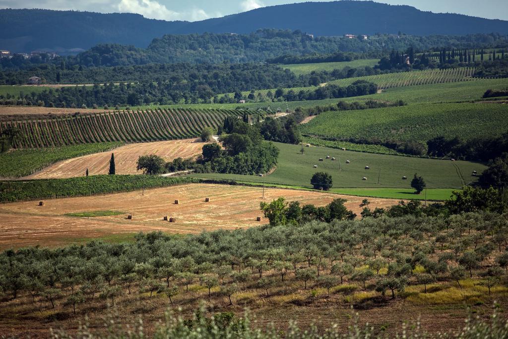 Agriturismo Sanguineto Acquaviva  Екстер'єр фото