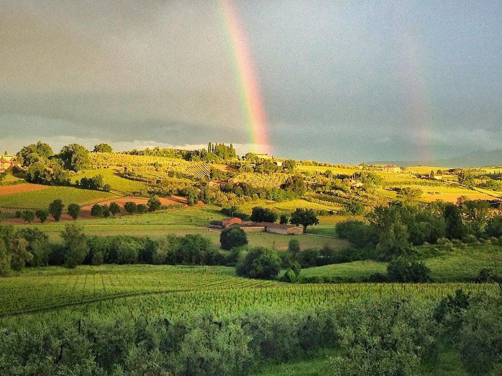 Agriturismo Sanguineto Acquaviva  Екстер'єр фото