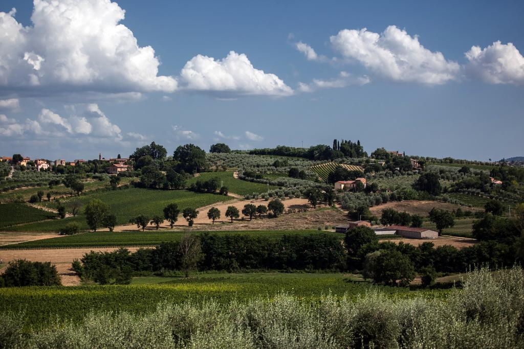 Agriturismo Sanguineto Acquaviva  Екстер'єр фото